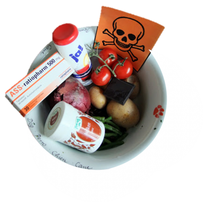 Giftige Lebensmittel für Hunde