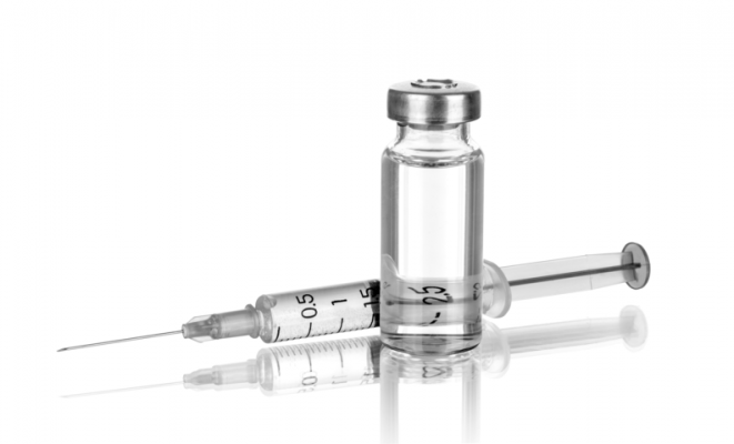 Impfungen bei Hunden