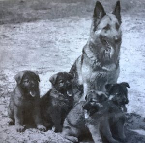 Bedarfswerte in der DDR