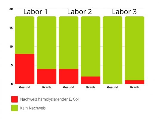 Hämolysierende E. Coli